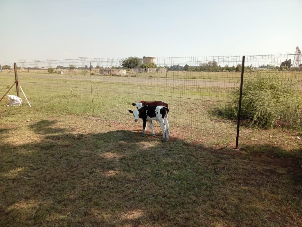 Family working on farm